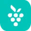 Berrycast logo